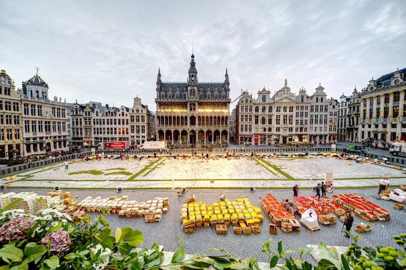 Brussels - FlowerCarpet 2016