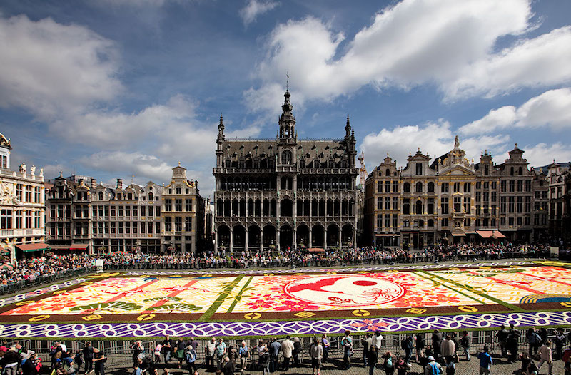 Brussels - FlowerCarpet 2016