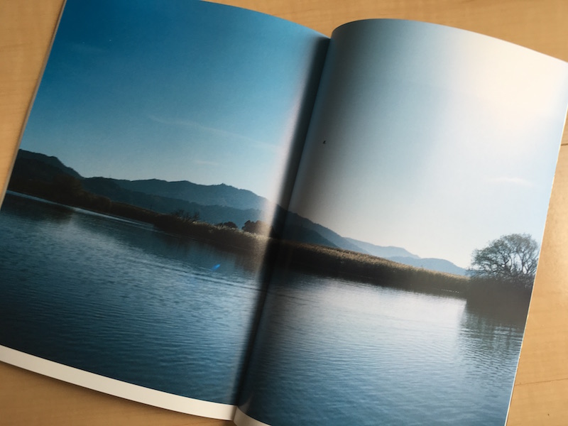 たねやとクラブハリエによる無料冊子「La Collina(ラ・コリーナ)」2016 vol.8