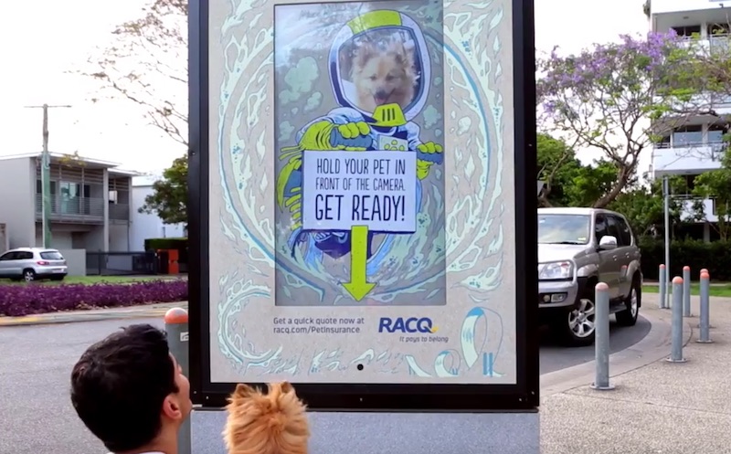 Pet selfie campaign by RACQ