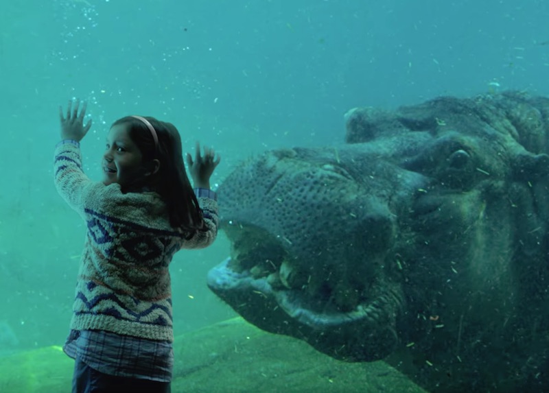 USPS Holiday 2016 Hippo