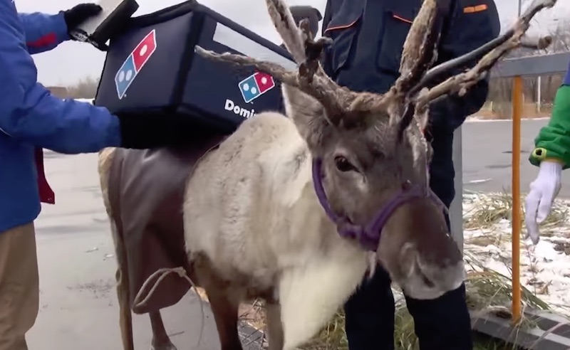 ドミノ・ピザ | トナカイのデリバリートレーニング