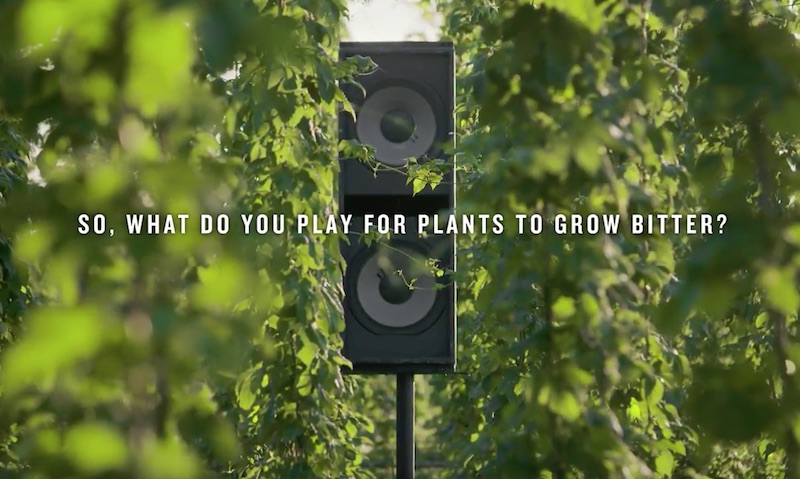 Farnham - Bitter Sounds