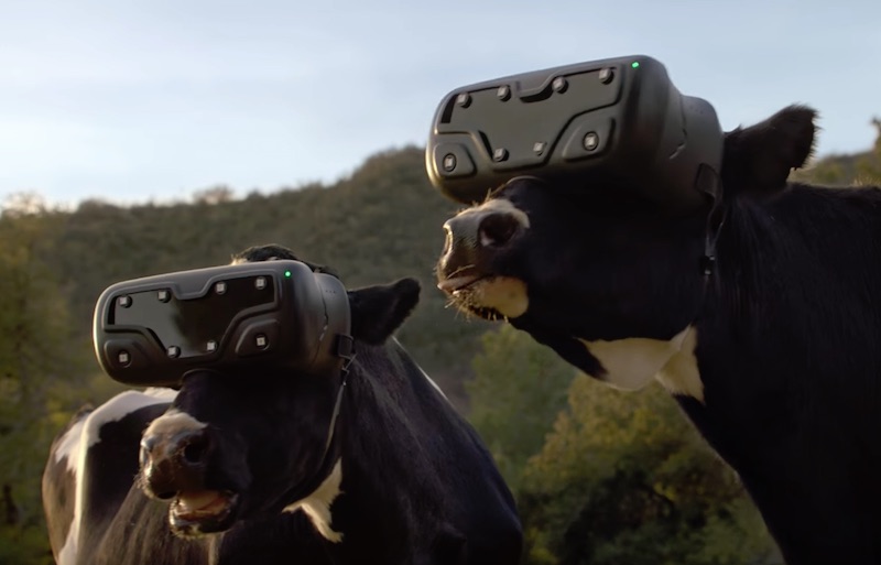 CowzVR is coming soon!