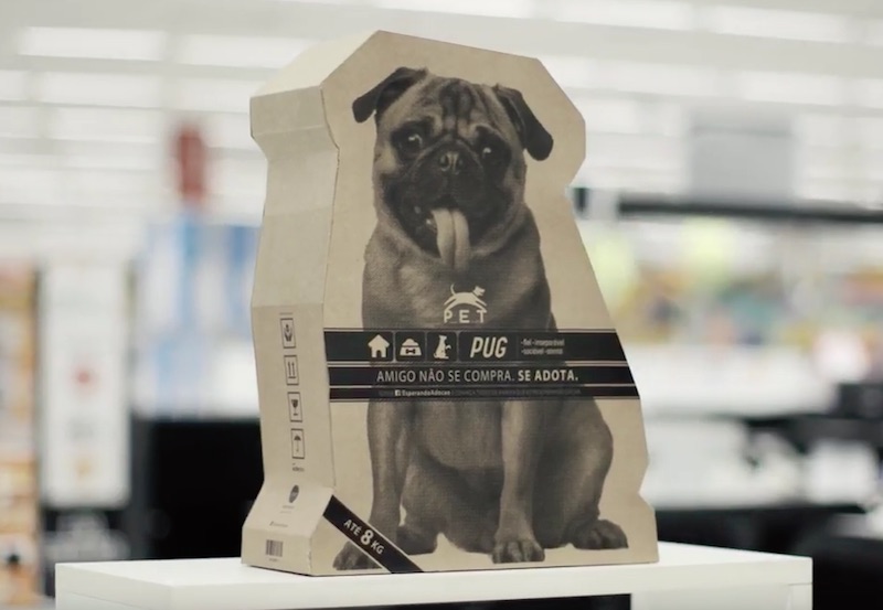 Move Institute - Pet Box