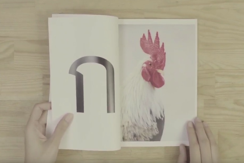 CanonLife Redefine : Thai Alphabet