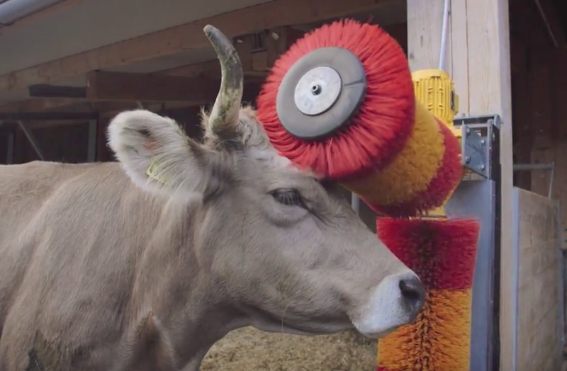 Remote massages at the touch of a button | Bio Suisse