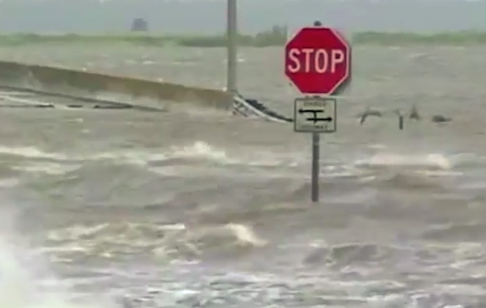 Conservation International - Nature Signs