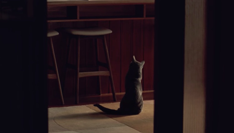 DINE® Creamy Treats