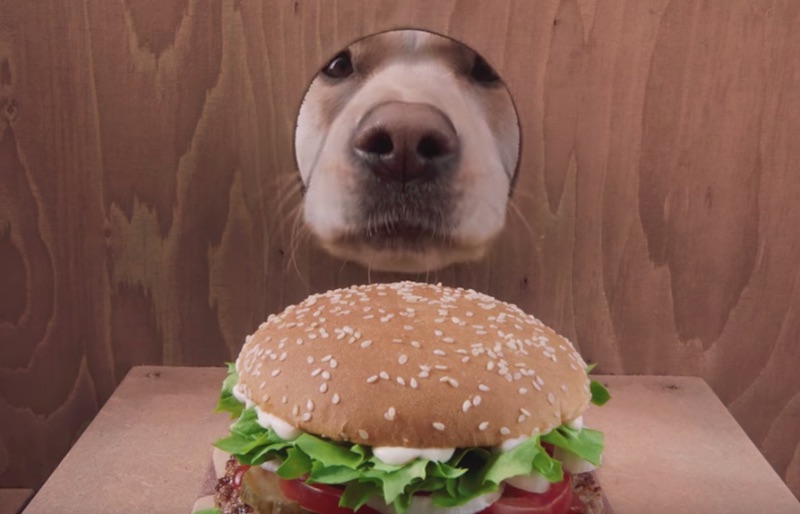 BURGER KING | #WHOPPERDOG
