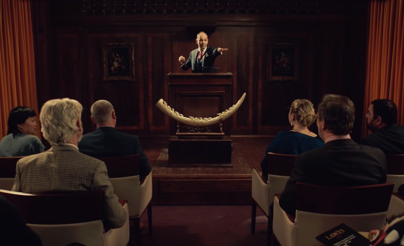 GOING GOING GONE | Stop Ivory