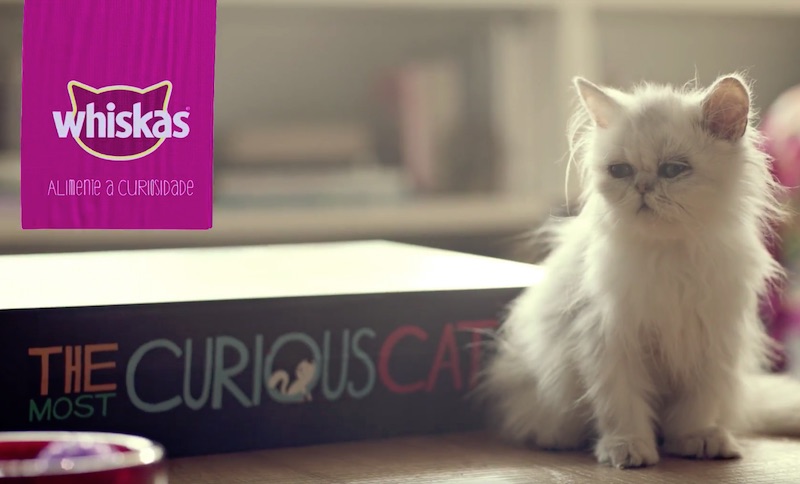 WHISKAS® | The Curious Cat Book