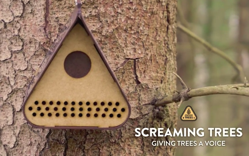 Screaming Trees - Giving Trees a Voice