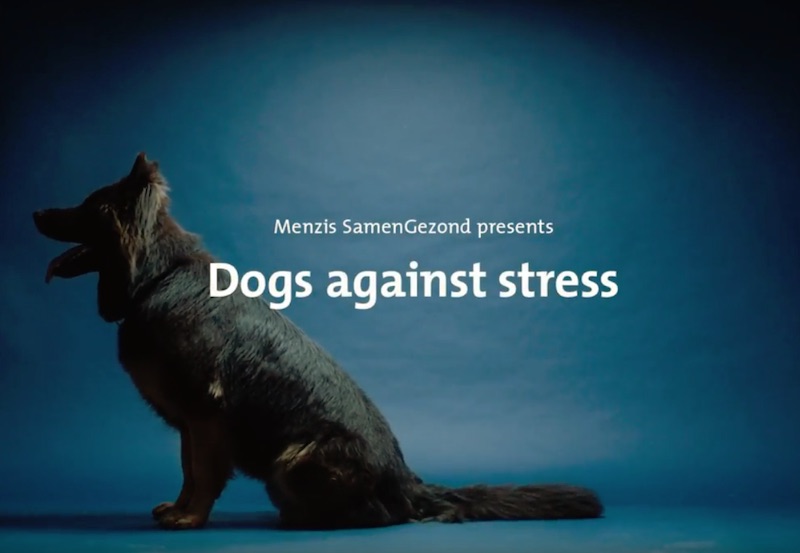 Menzis - Dogs against stress