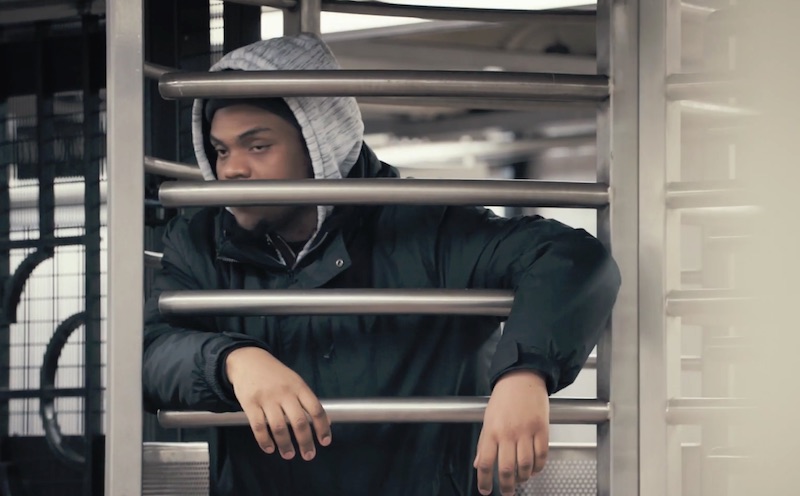 World Animal Protection | Your Turn