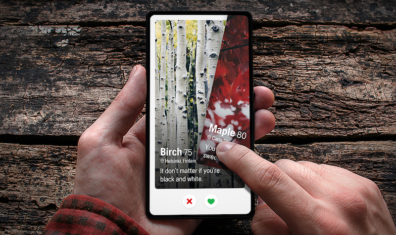 Timber - a dating service for tree lovers
