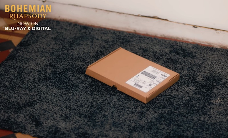 Unleash Your Inner Freddie