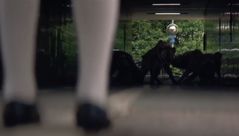 Barnardo's | Believe in Me 2019