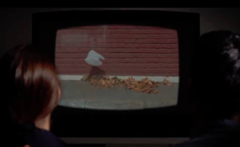 GREENPEACE American Ugly