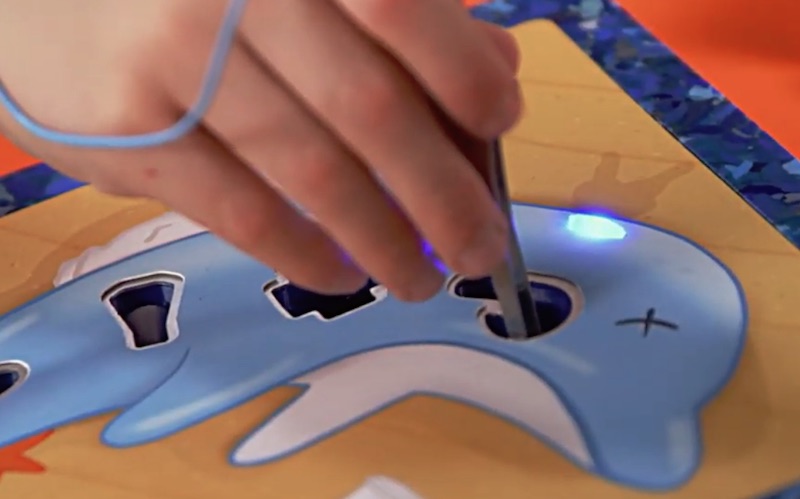 SEA SHEPHERD OPERATION OCEAN INT LONG