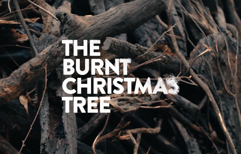 The Burnt Christmas Tree