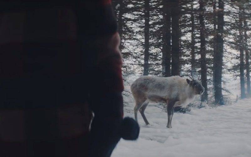 Air Canada: Lost Reindeer