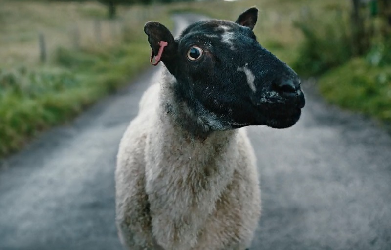 Flashback - New Subaru Forester