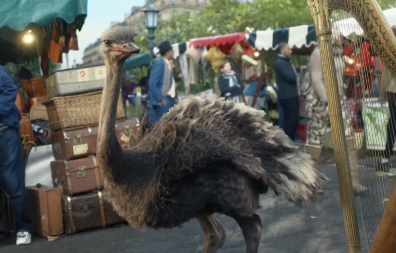 You see more when you don't fly