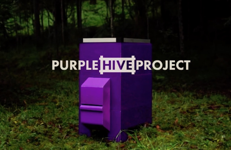 Purple Hive Project