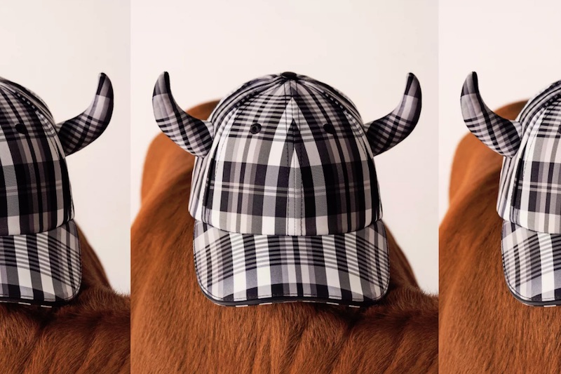 Burberry Chinese New Year | A New Awakening