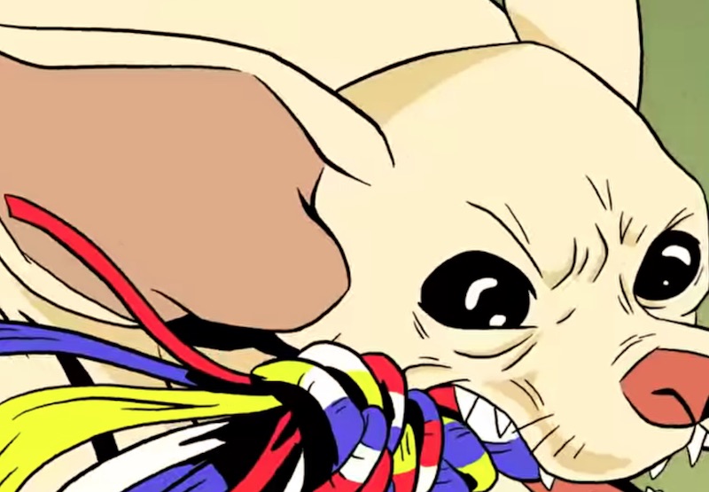 Pedigree® Small Dog | Unintimidator