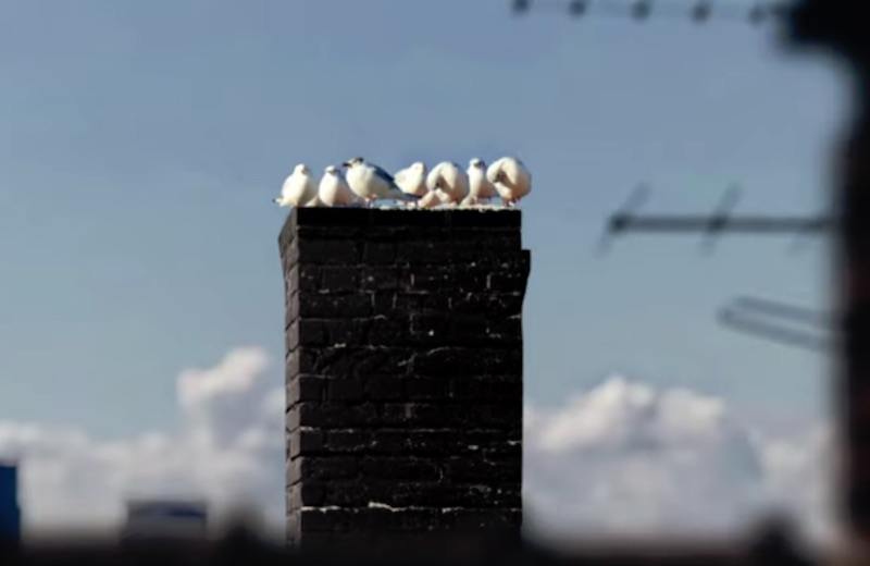 Good Things Are In Our Grasp