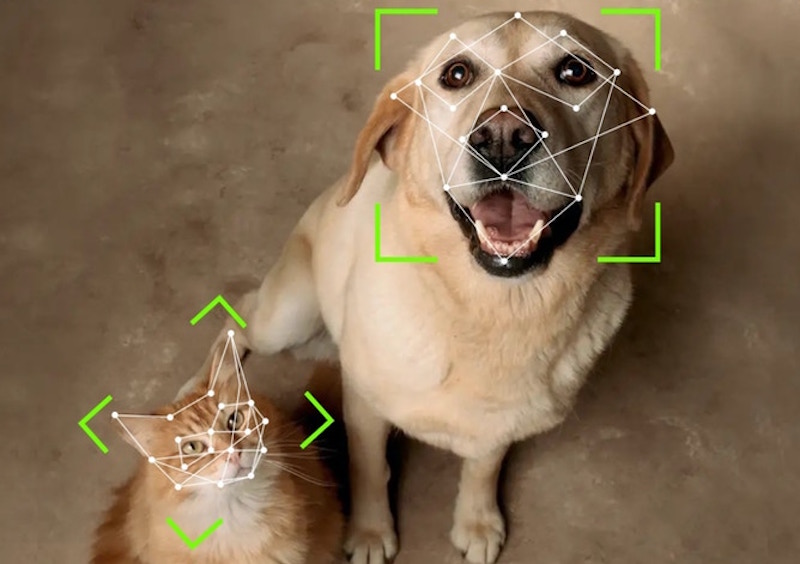 Petvation- The Smart Automatic Pet Door Powered with AI