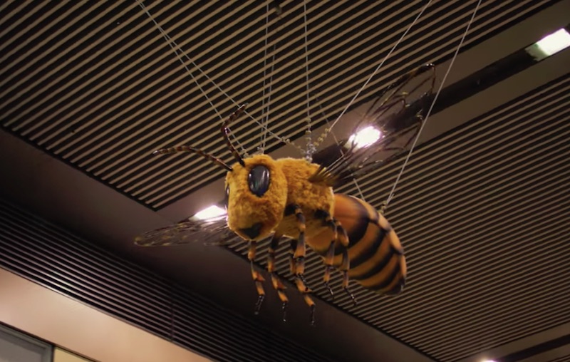 #Schienenbiene goes City