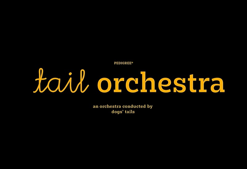 PEDIGREE® Tail Orchestra
