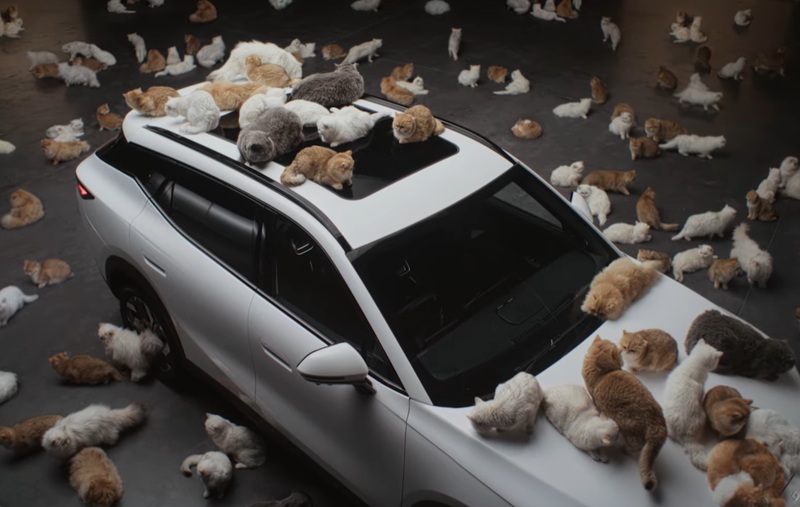 OMODA 7 | Noise-Reducing Glass | Everything is Essential