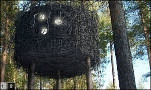 The Bird's Nest - Treehotel