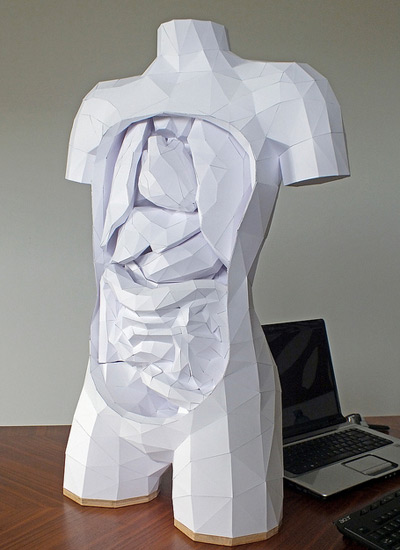 paper torso