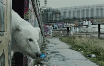 A Homeless Polar Bear in London - Ft. Jude Law and Radiohead