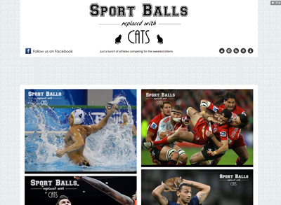 Sport Balls Replaced With Cats