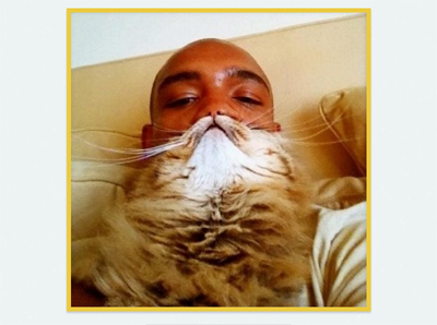 Cat-beard