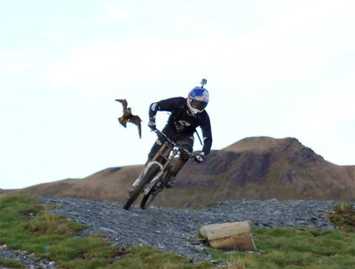 Gee Atherton gets hunted by a Peregrine Falcon