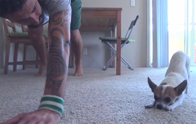 Yoga Time with a Cute Chihuahua