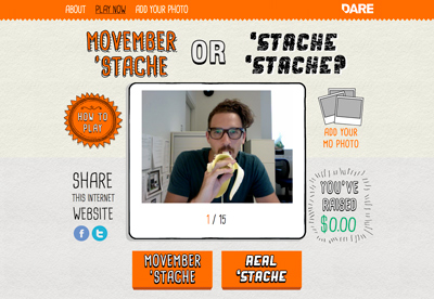 Movember Stache or Stache Stache?