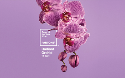 Pantone 18-3224 Radiant Orchidに！｜2014 Pantone Color of the Year