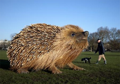 Sir David Attenborough and giant hedgehog launch new TV show Natural Curiosities