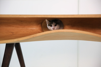 CATable丨猫桌
