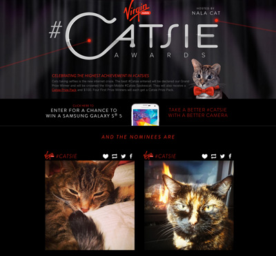Virgin Mobile Presents: Catsies