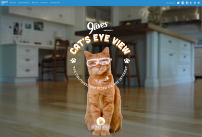 9Lives - Cat's Eye View