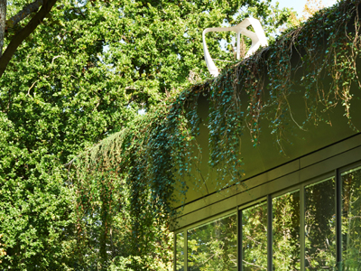 P.A.T.H. by Starck with Riko